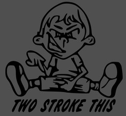 2 stroke this